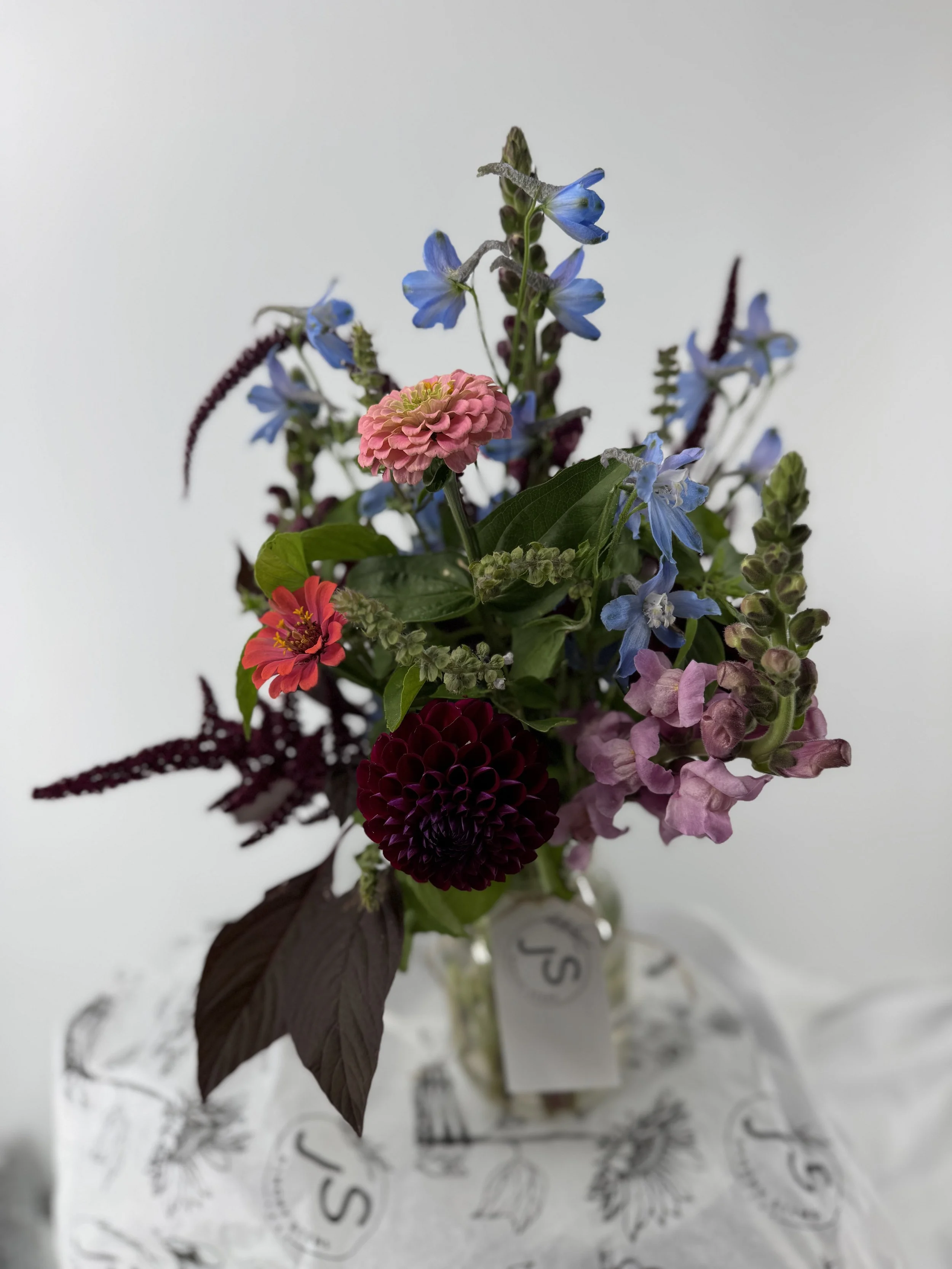 3 Week Fall Subscription