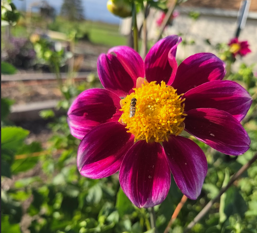 Screenshot 2026-01-22 at 11.28.06 AM.PNG