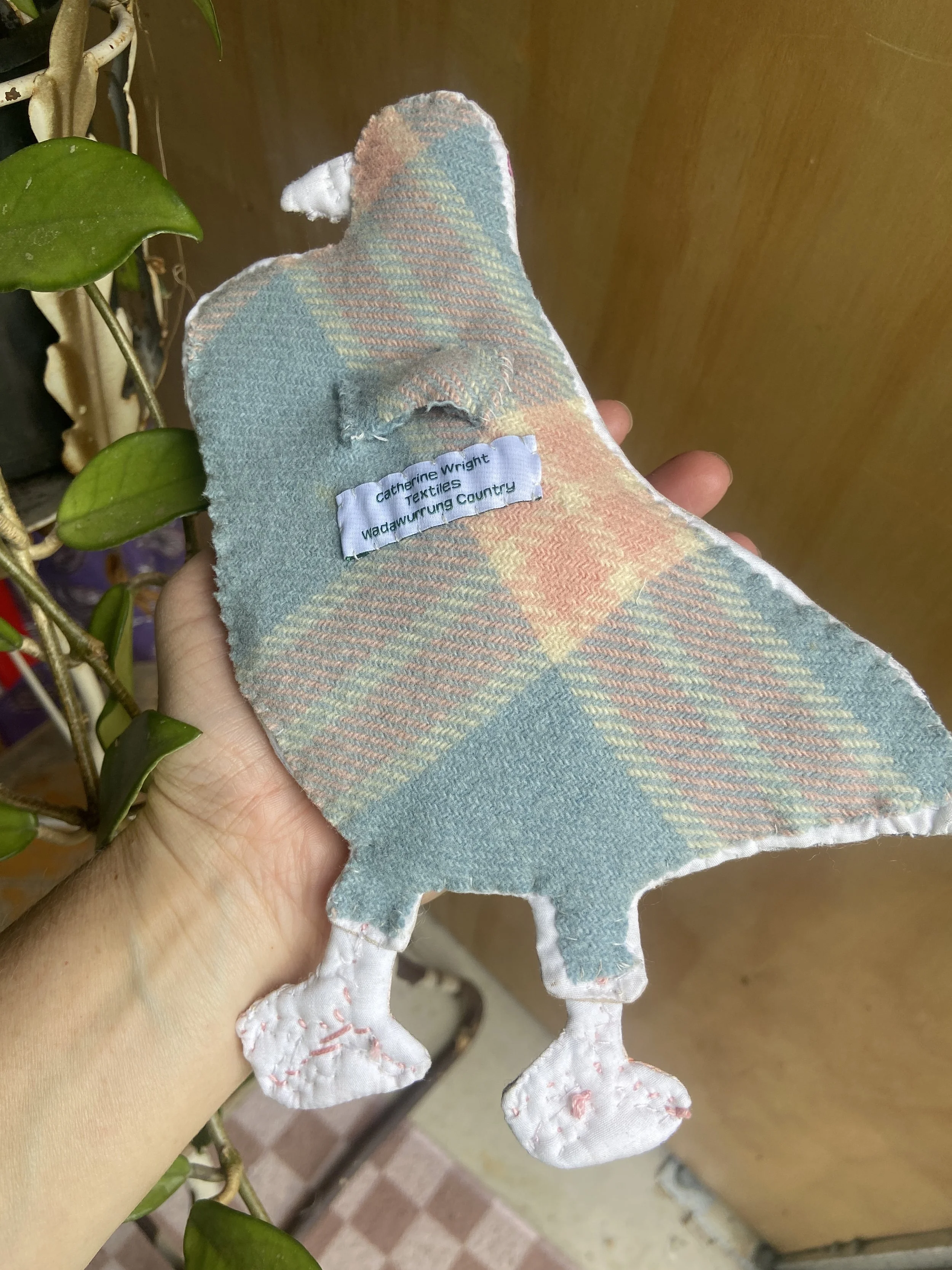 Chesty pigeon back.jpeg