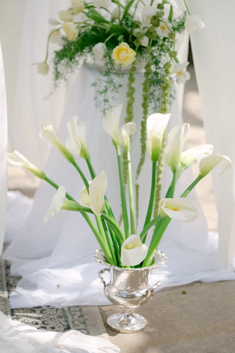 TawnyBallardPhotography-Proudly-Ever-After-161.jpg