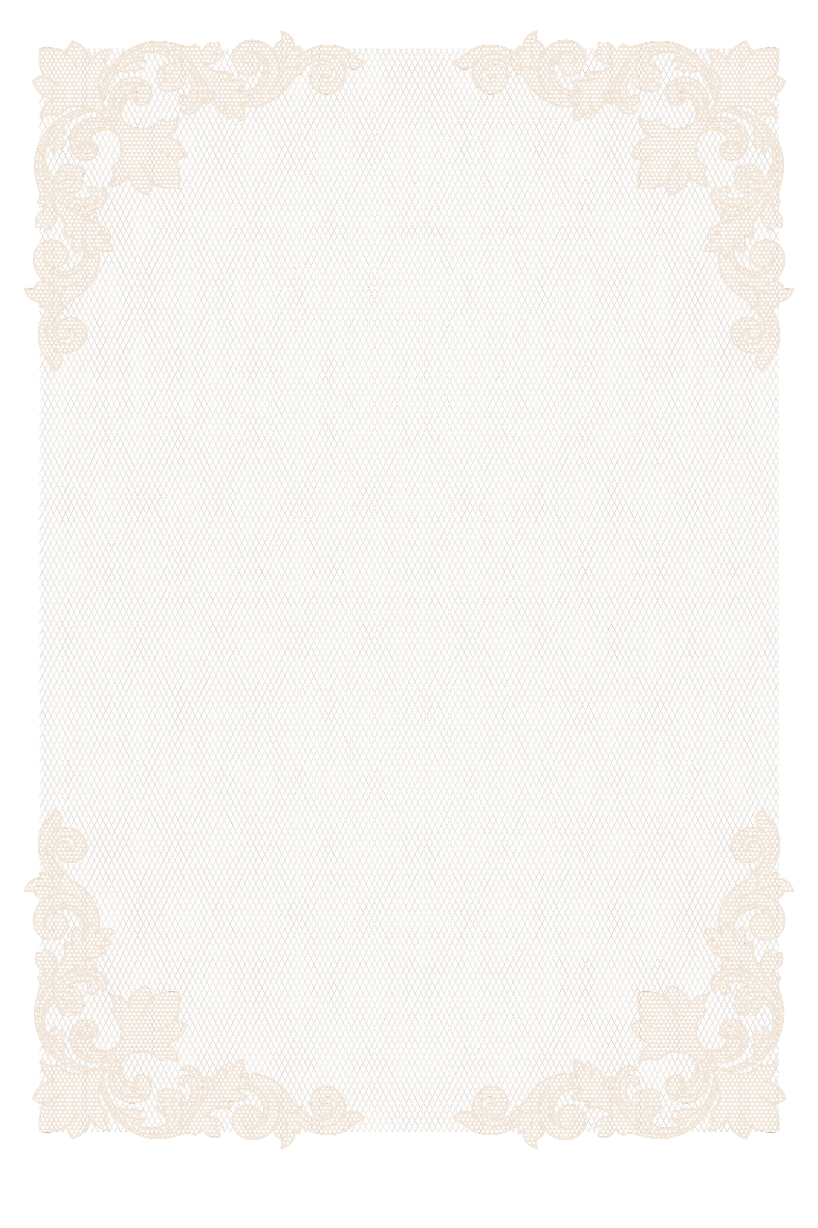Ornate lace border with floral and swirl details framing a blank interior space.