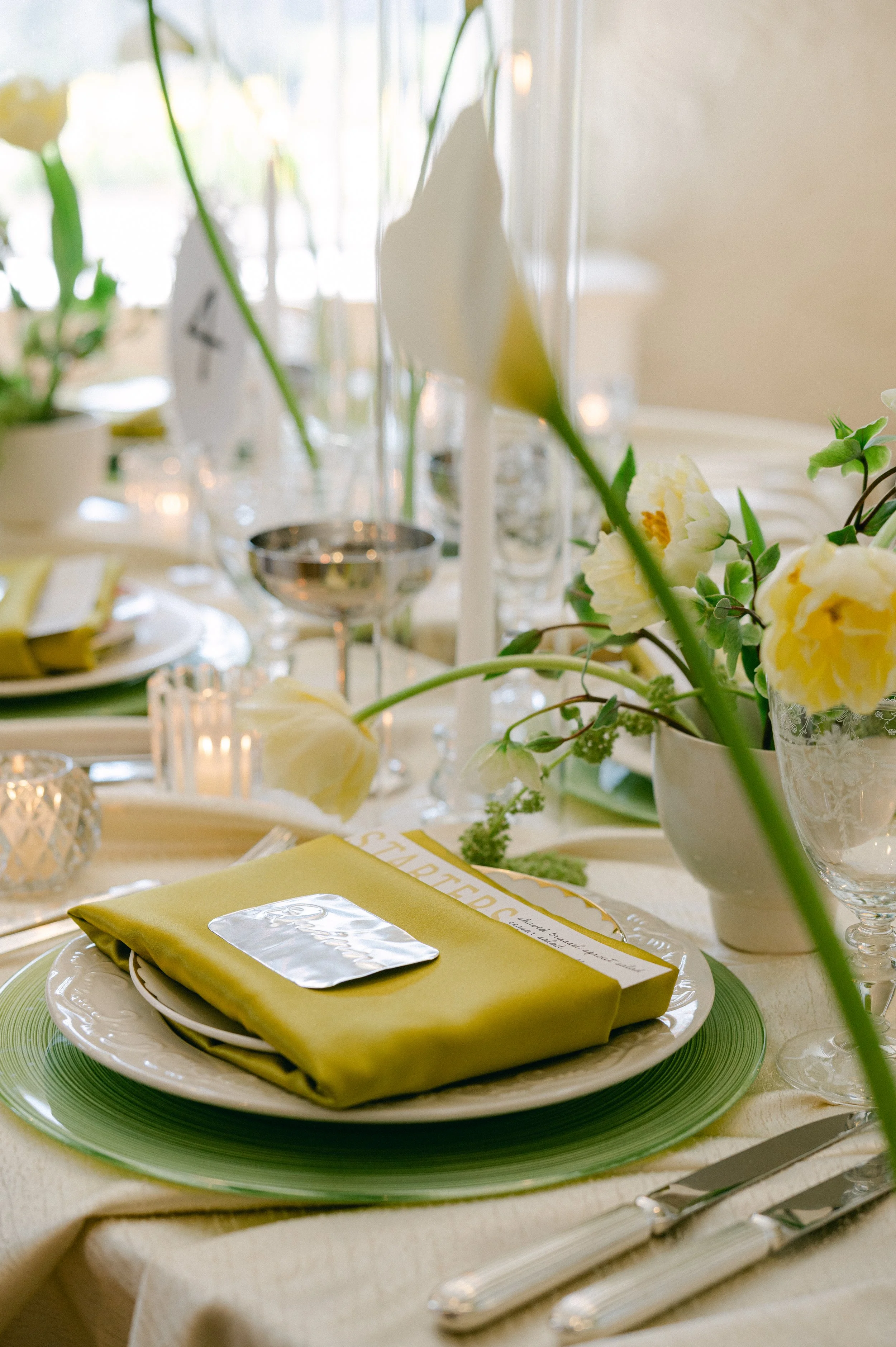 TawnyBallardPhotography-Proudly-Ever-After-previews-15.jpg