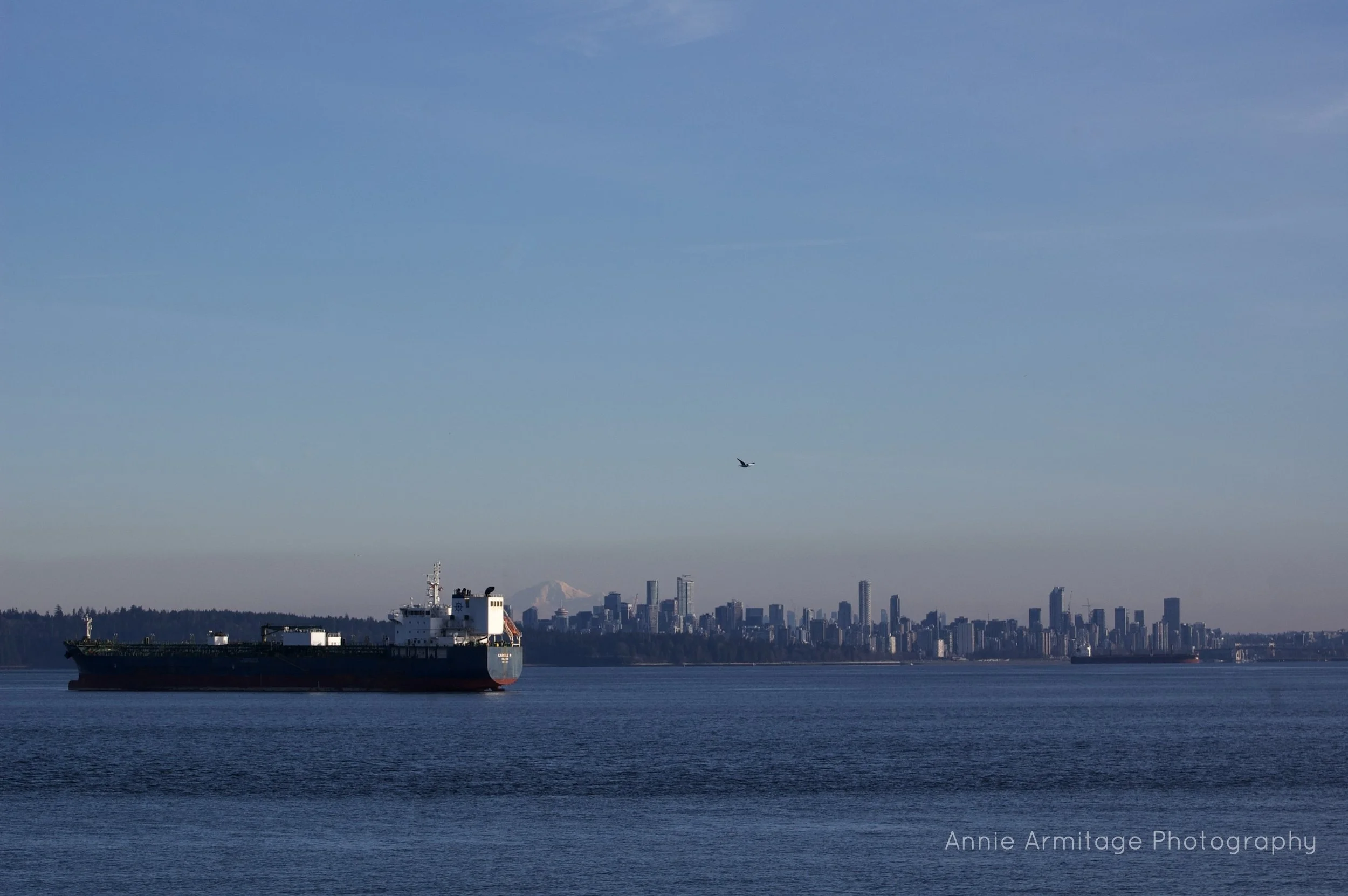 A large cargo ship sailing on calm water with a city skyline and mountains in the background, under a clear blue sky.