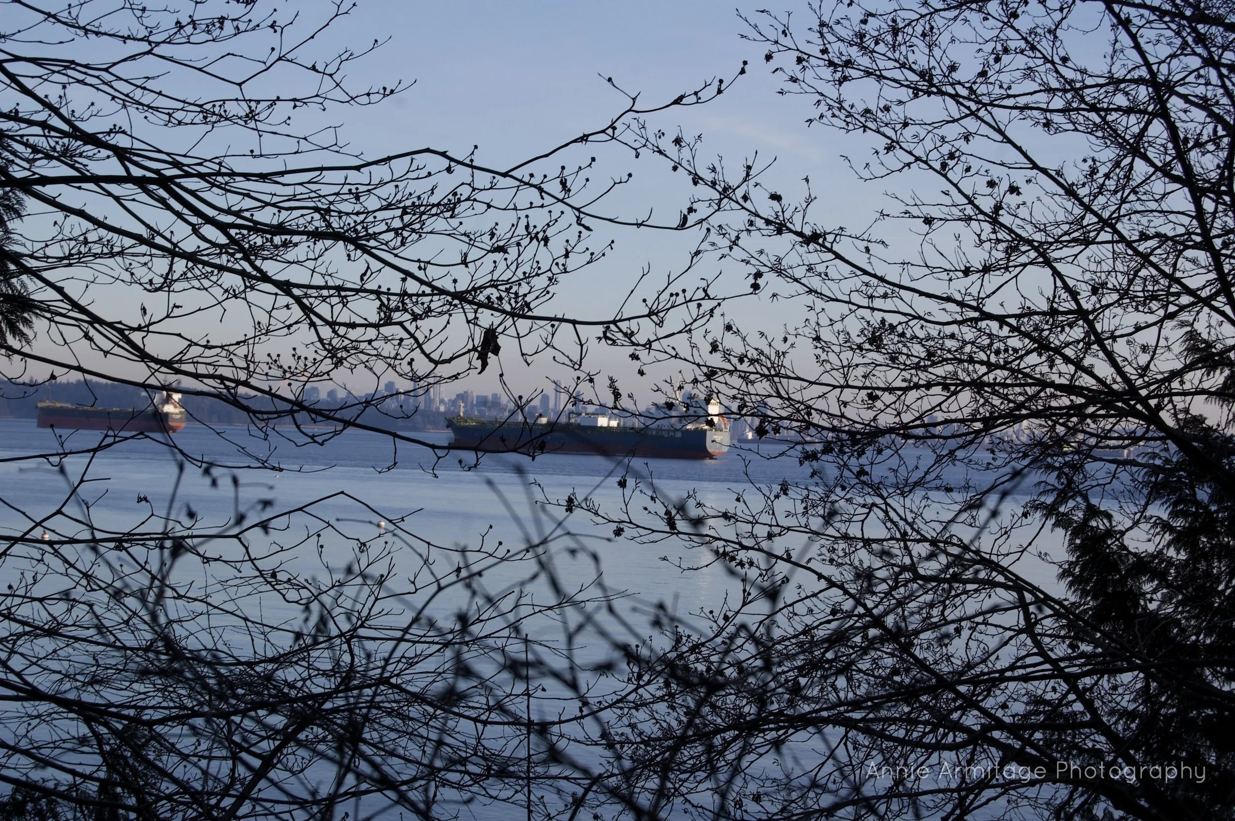View of several ships sailing on a large body of water, seen through leafless tree branches in the foreground, with a city skyline visible in the background.