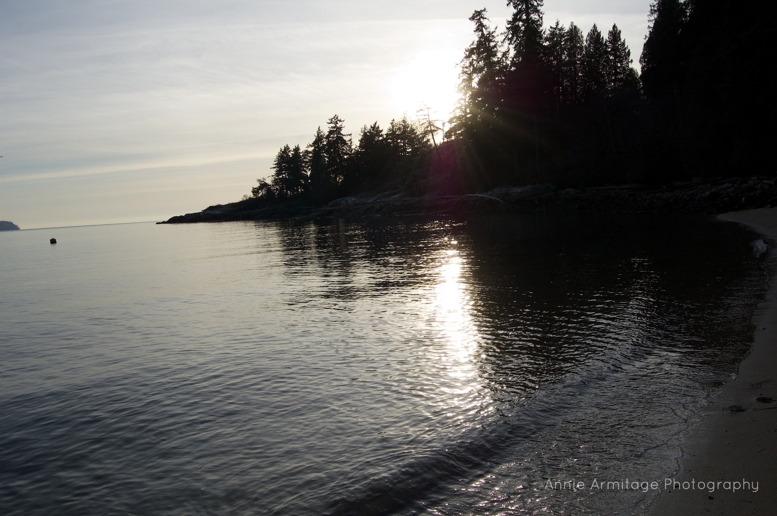 Sunset over a calm body of water with trees on the shoreline and reflections of the sun on the water.