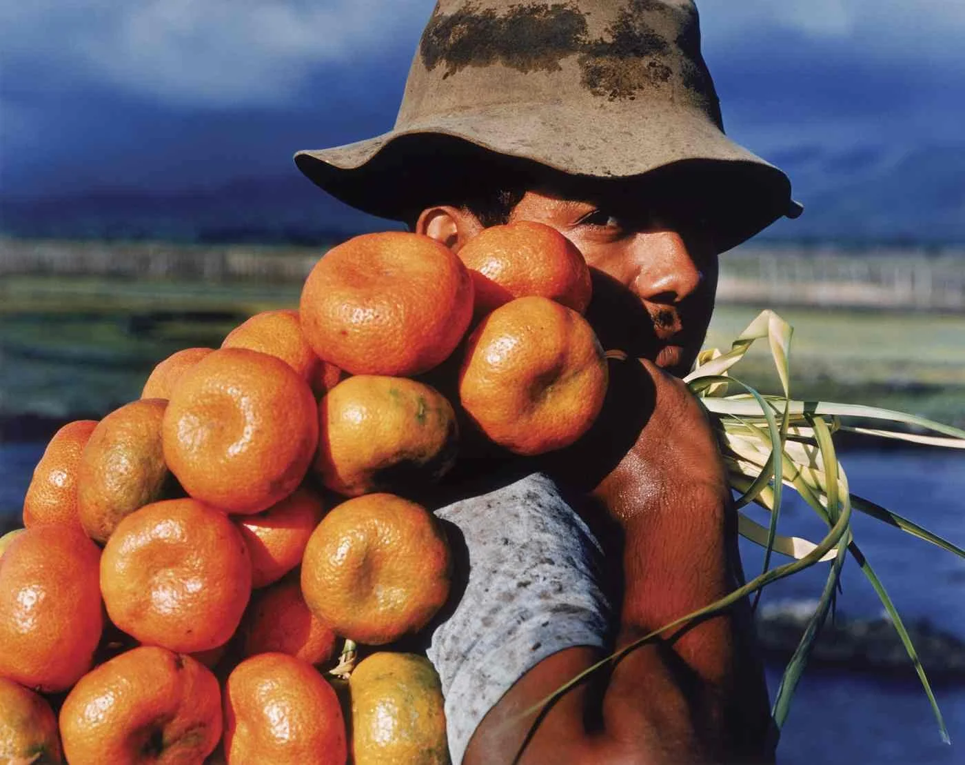 Campesino con Madarinas, Jicomé. 1985