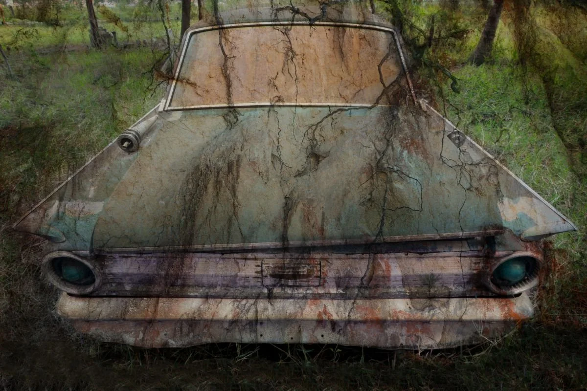 Carro del Olvido. 2011