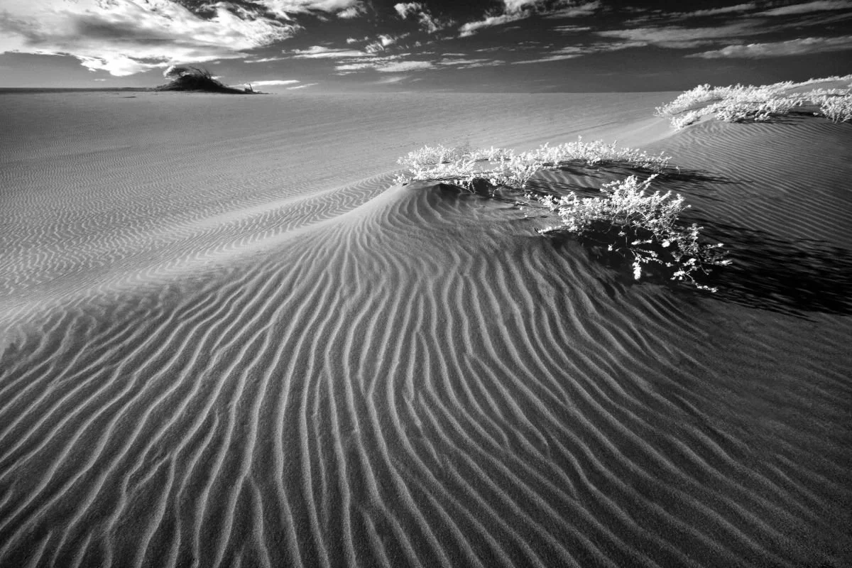 Dunas de Baní 1. 2009
