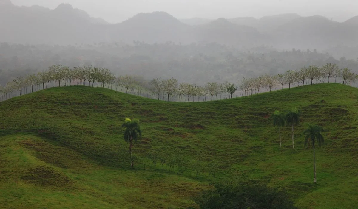 Jamao al Norte 2018_result