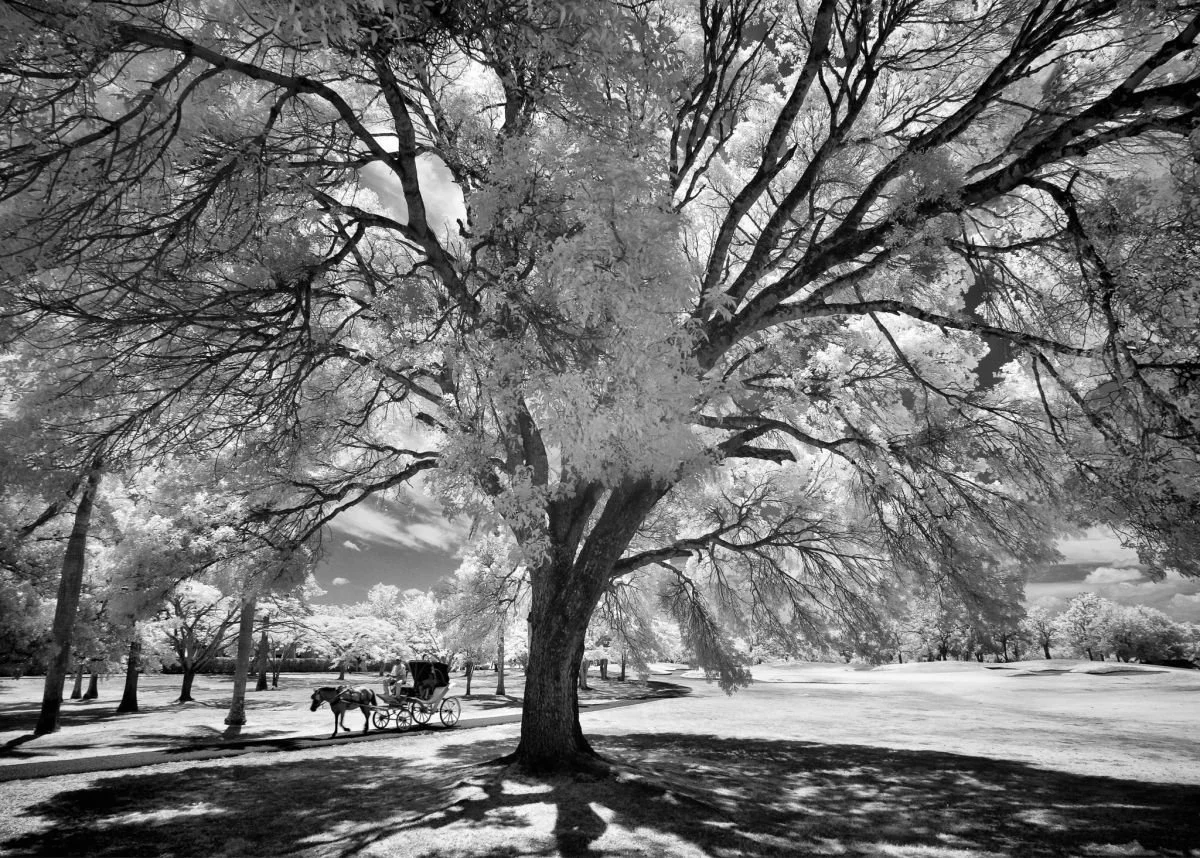 En Playa Dorada, Puerto Plata. 2008