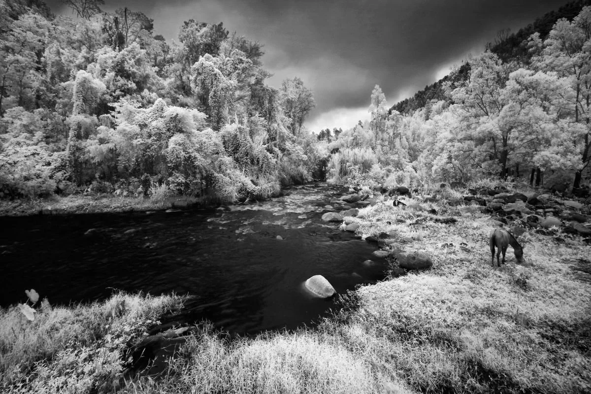 Río Yaque en Manabao 2. 2009