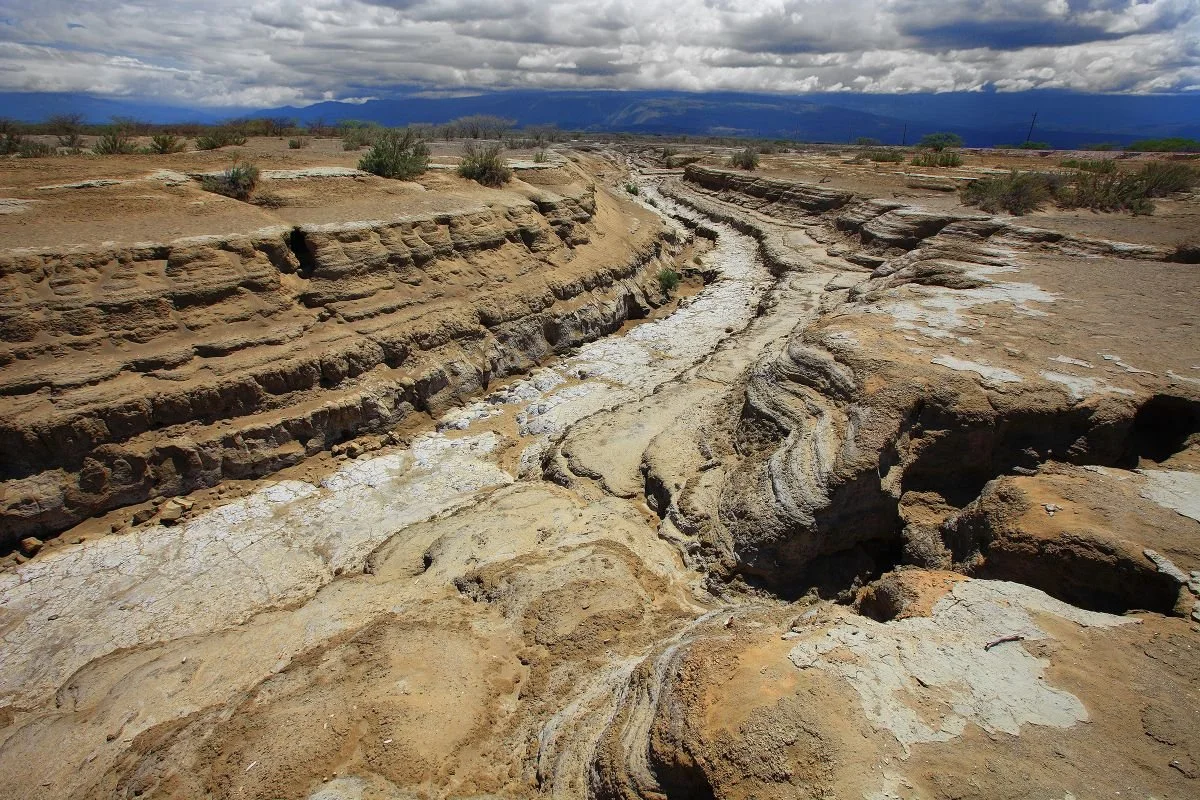 Paisaje del Sur Profundo. 2020