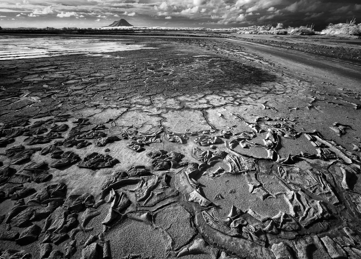 Salitrales de Montecristi. 2009