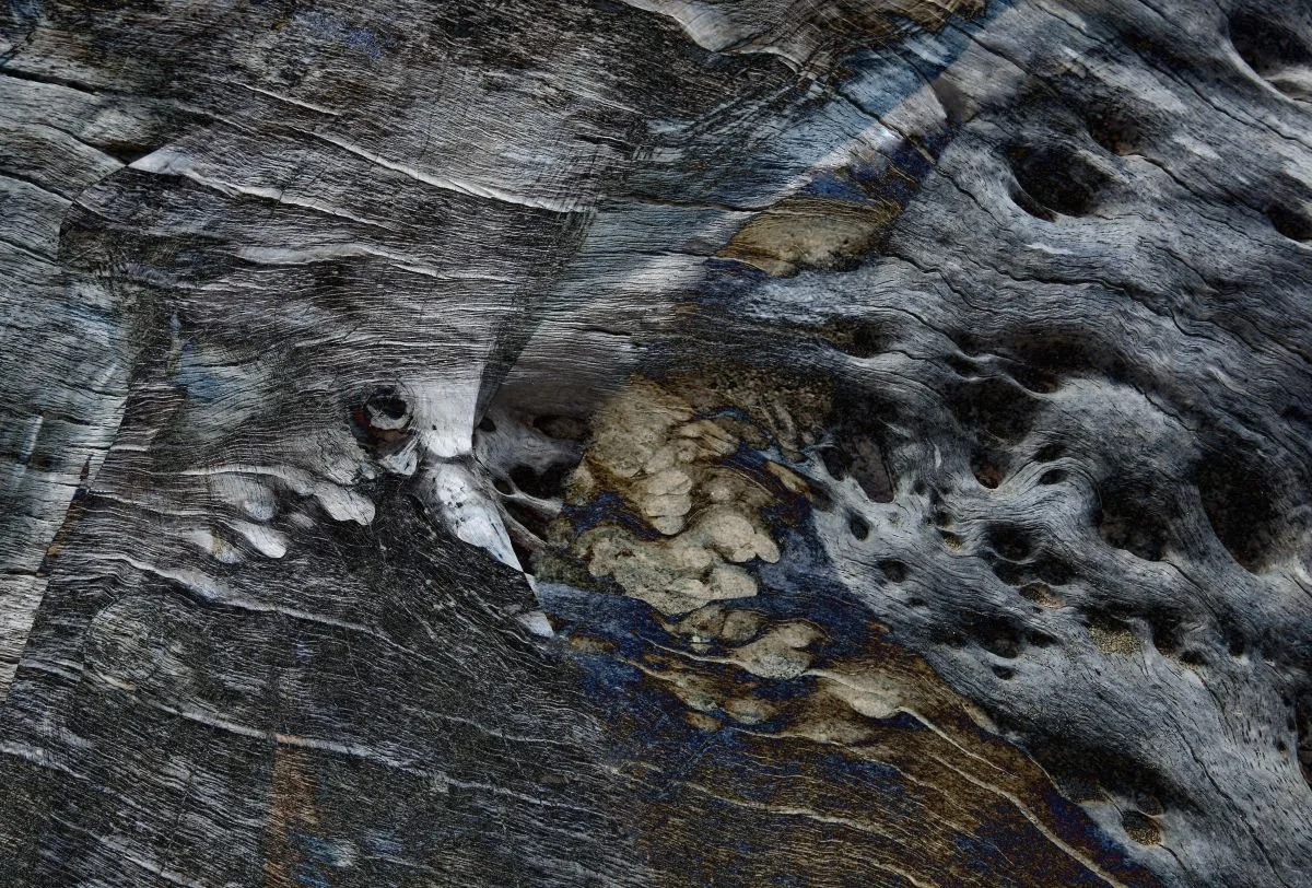 Texturas Costeras. 2012