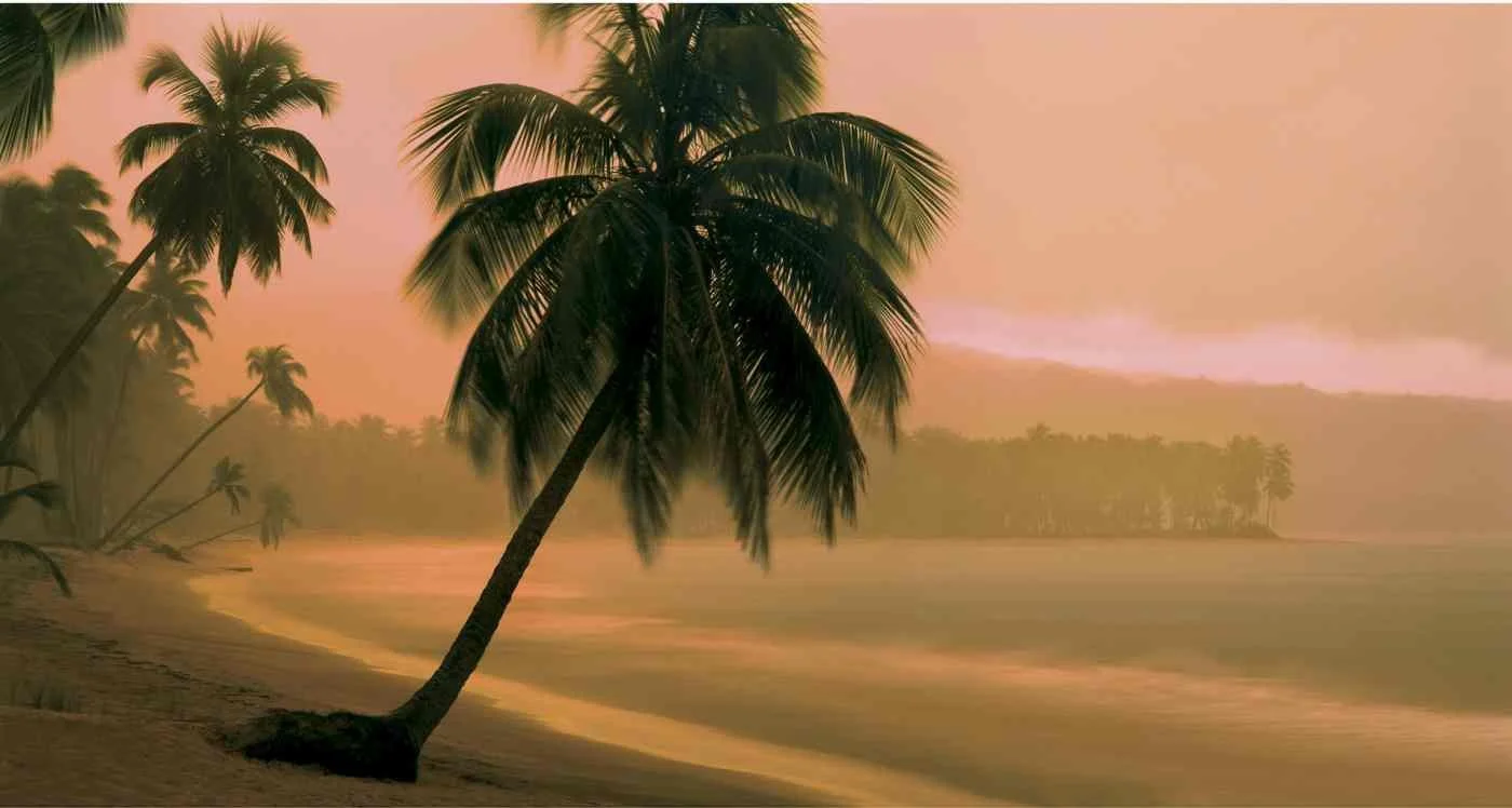 Anocheciendo y Lloviendo en Playa Cosón. 2006