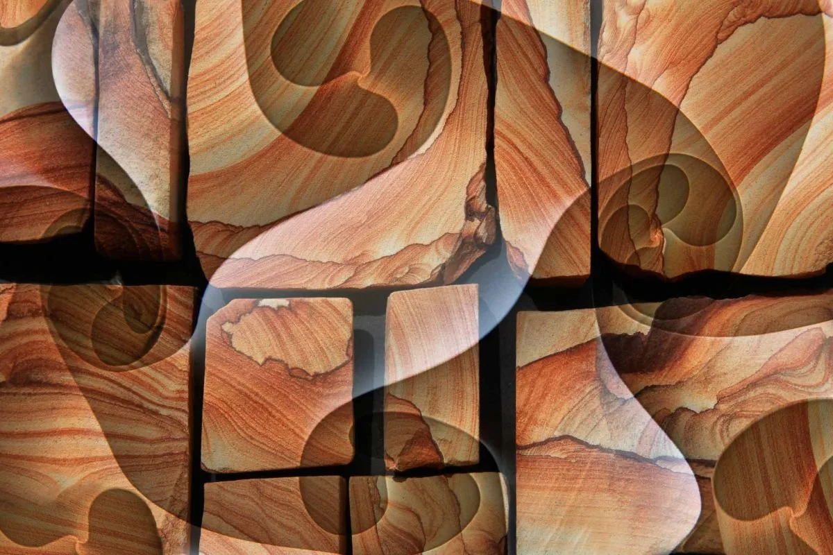 Encuentro de Formas 1. 2009