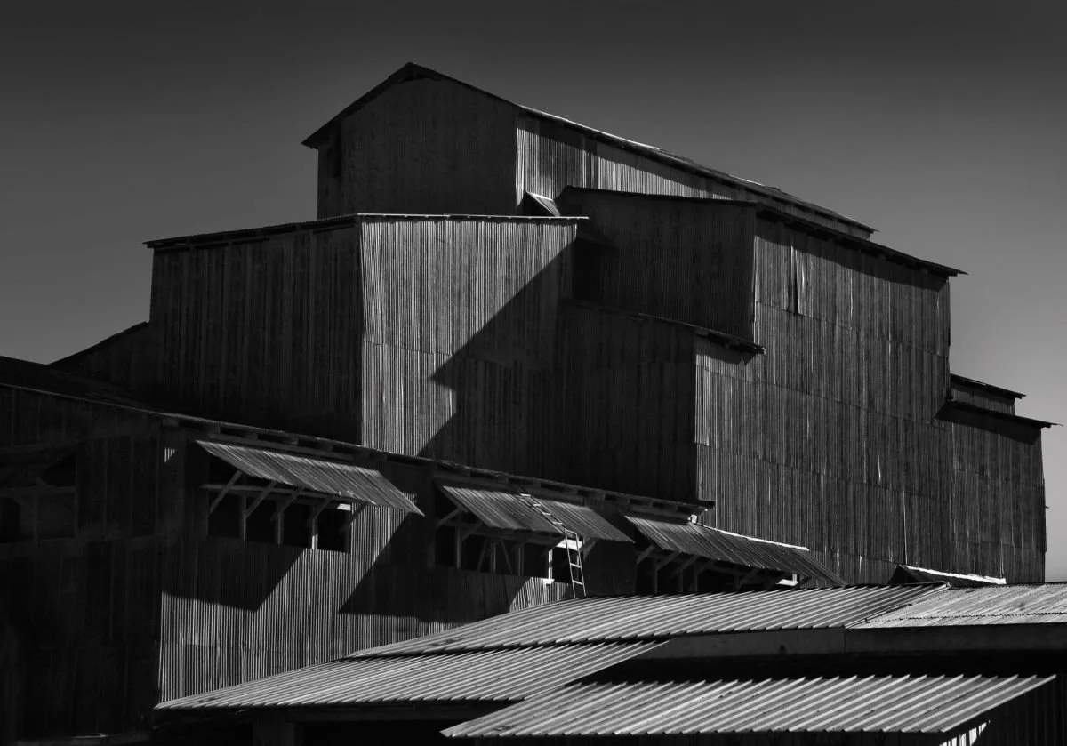 Factoría de Arroz, Villa González. 2010