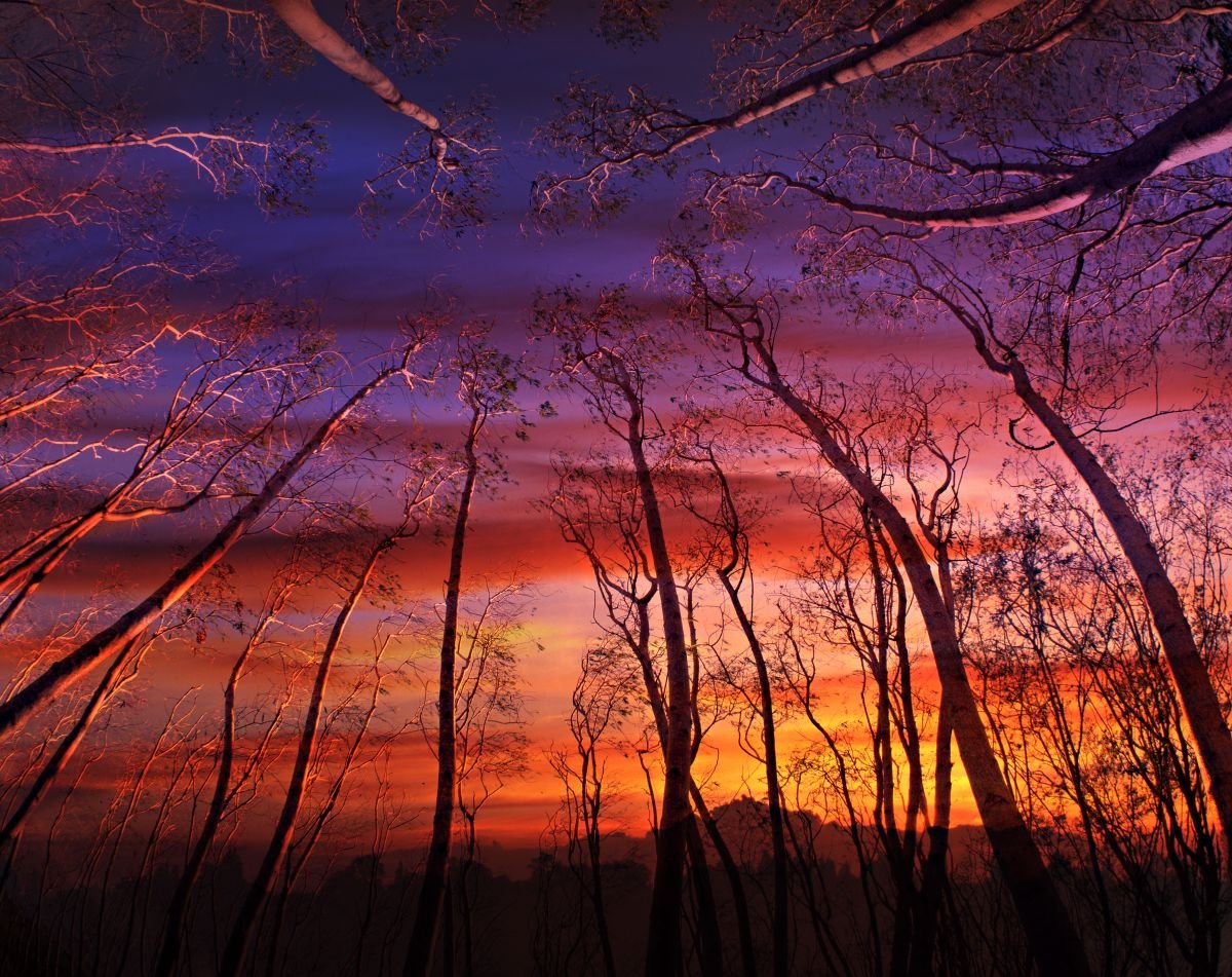 Amanecer en Villa Lobos. 2010