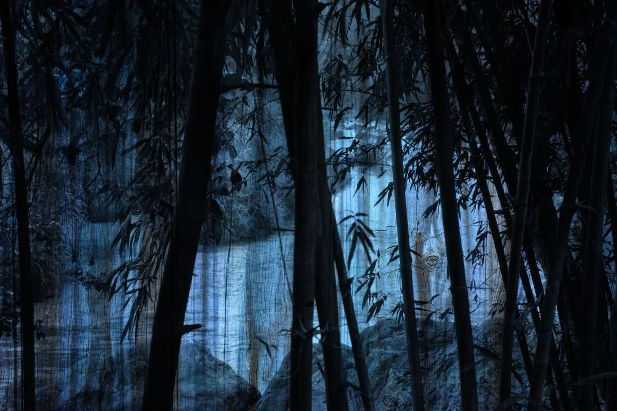 Nocturnal de Río Jimenoa. 2012