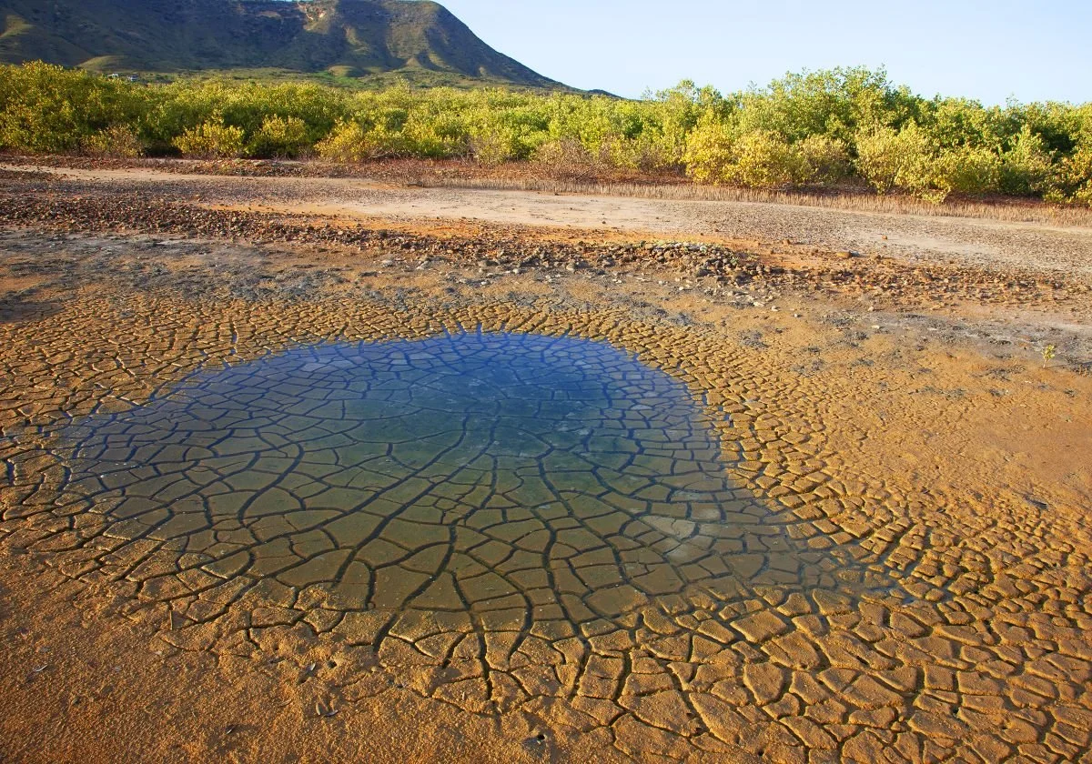 Anuncio de Sequía. 2016