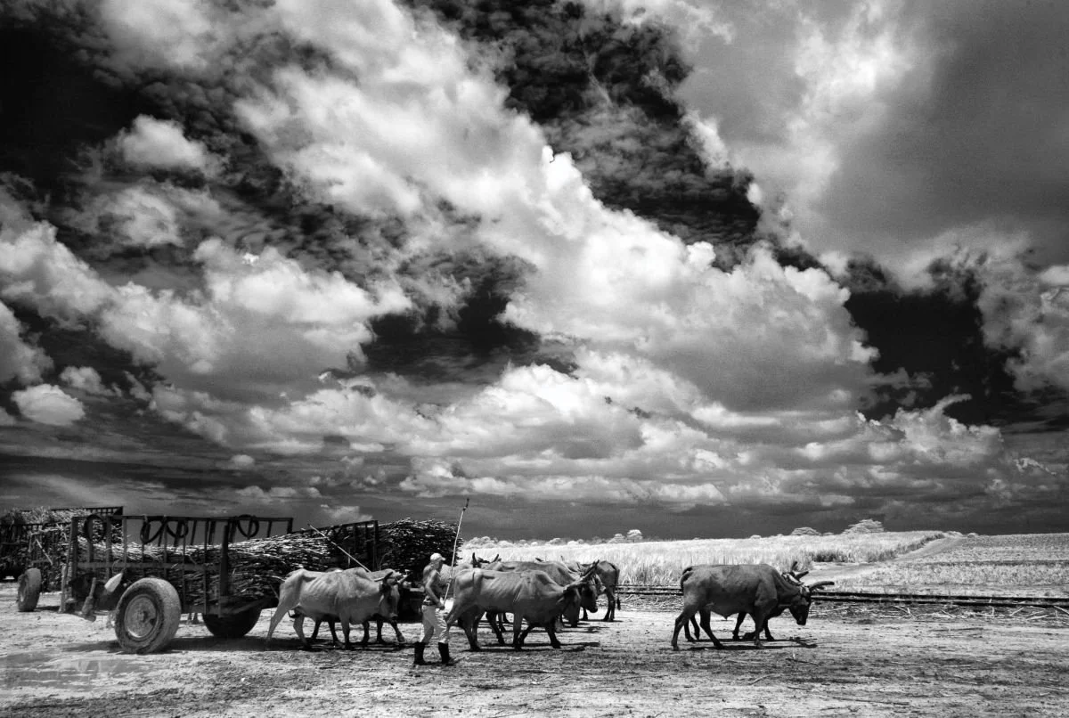 De la Zafra en La Romana 1. 2009