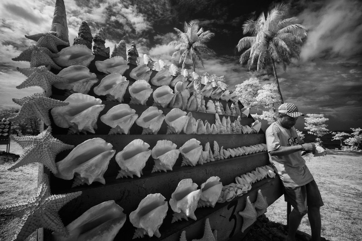 Vendedor de Caracoles, La Caleta, Santo Domingo. 2009