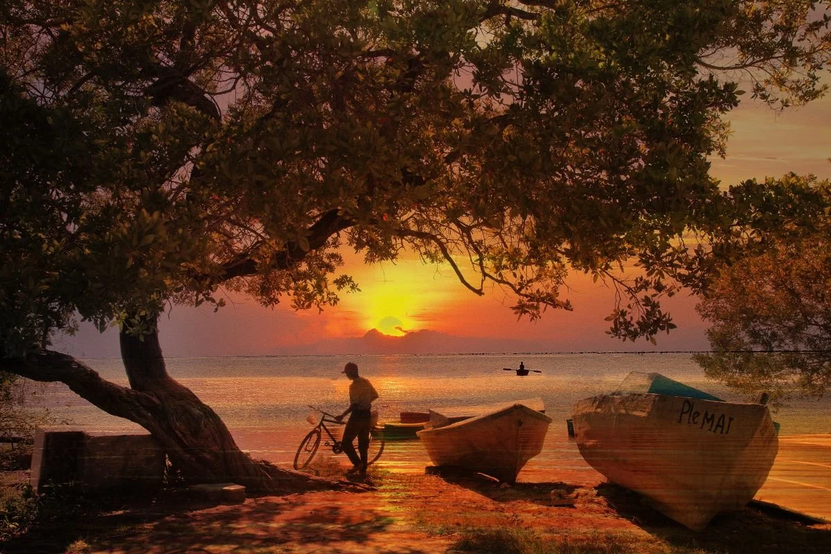 Atardecer y Mangles 1, Monte Cristi. 2020