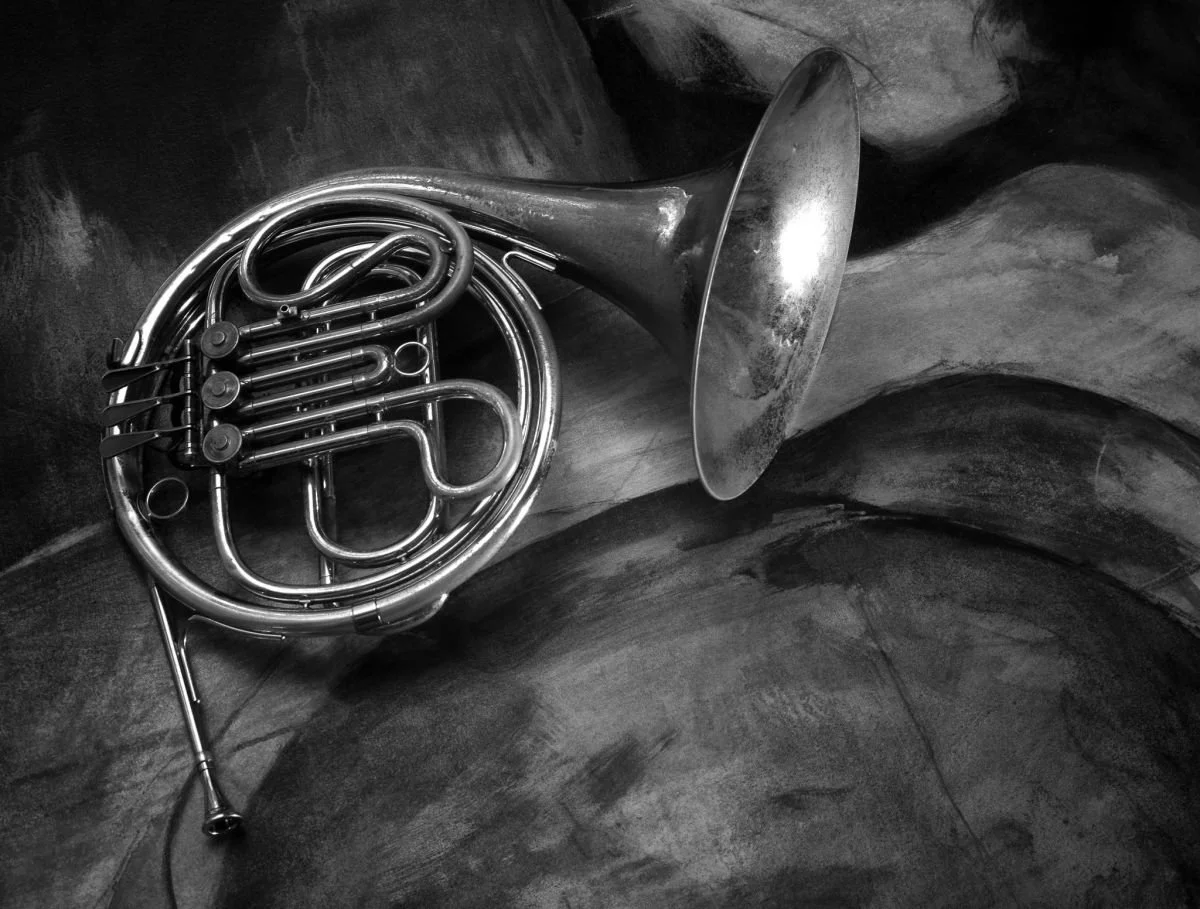 Corno Sobre Tela. 2009