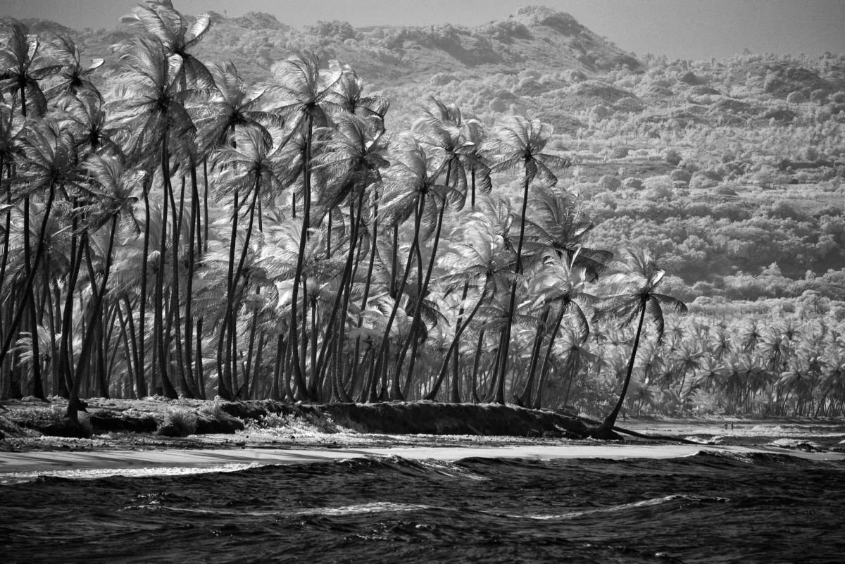 Playa de Caño Azul, Cabrera. 2009
