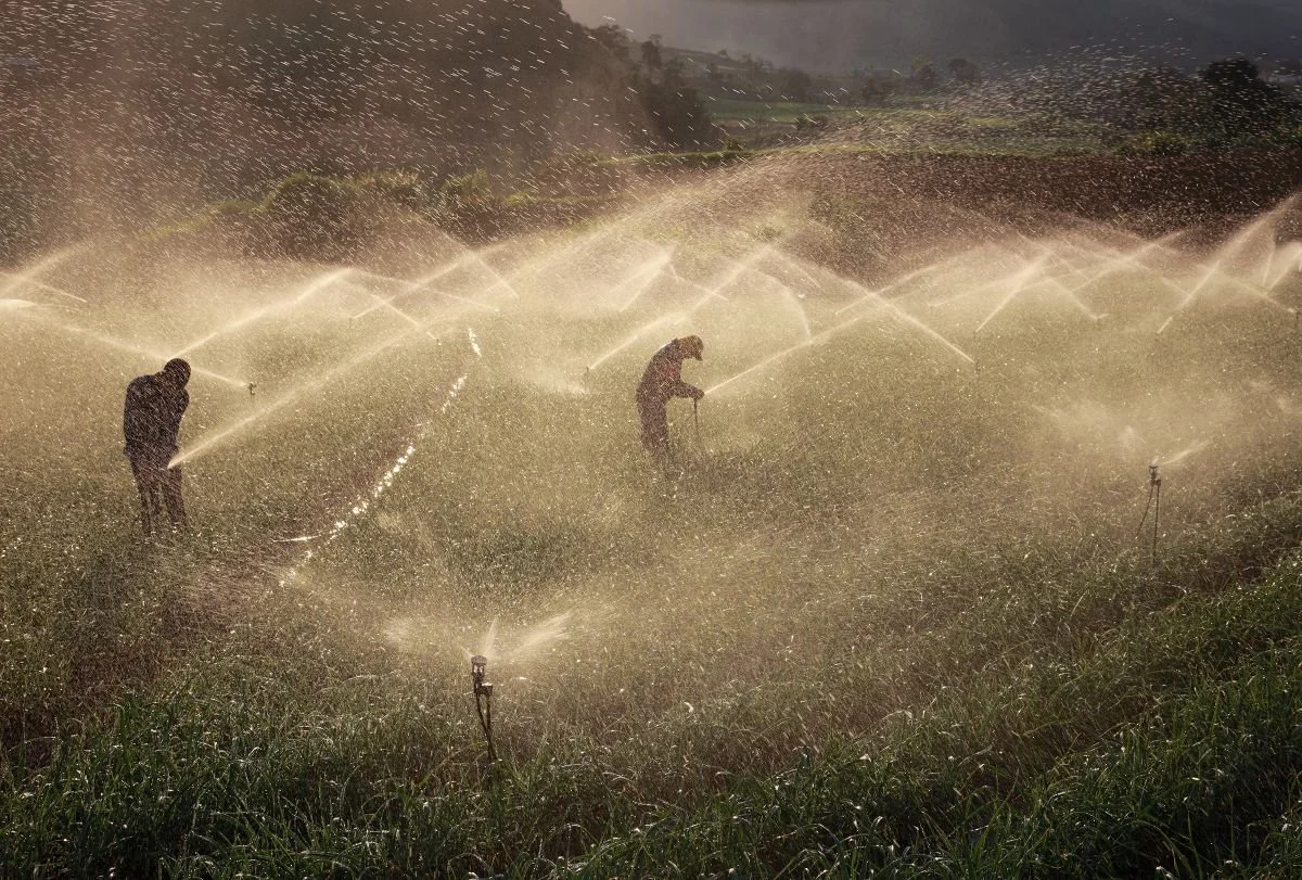Mojando en el Valle de Tireo 2, Constanza. 2016