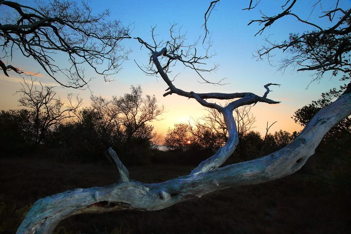 Atardecer y Mangles 2, Montecristi. 2020