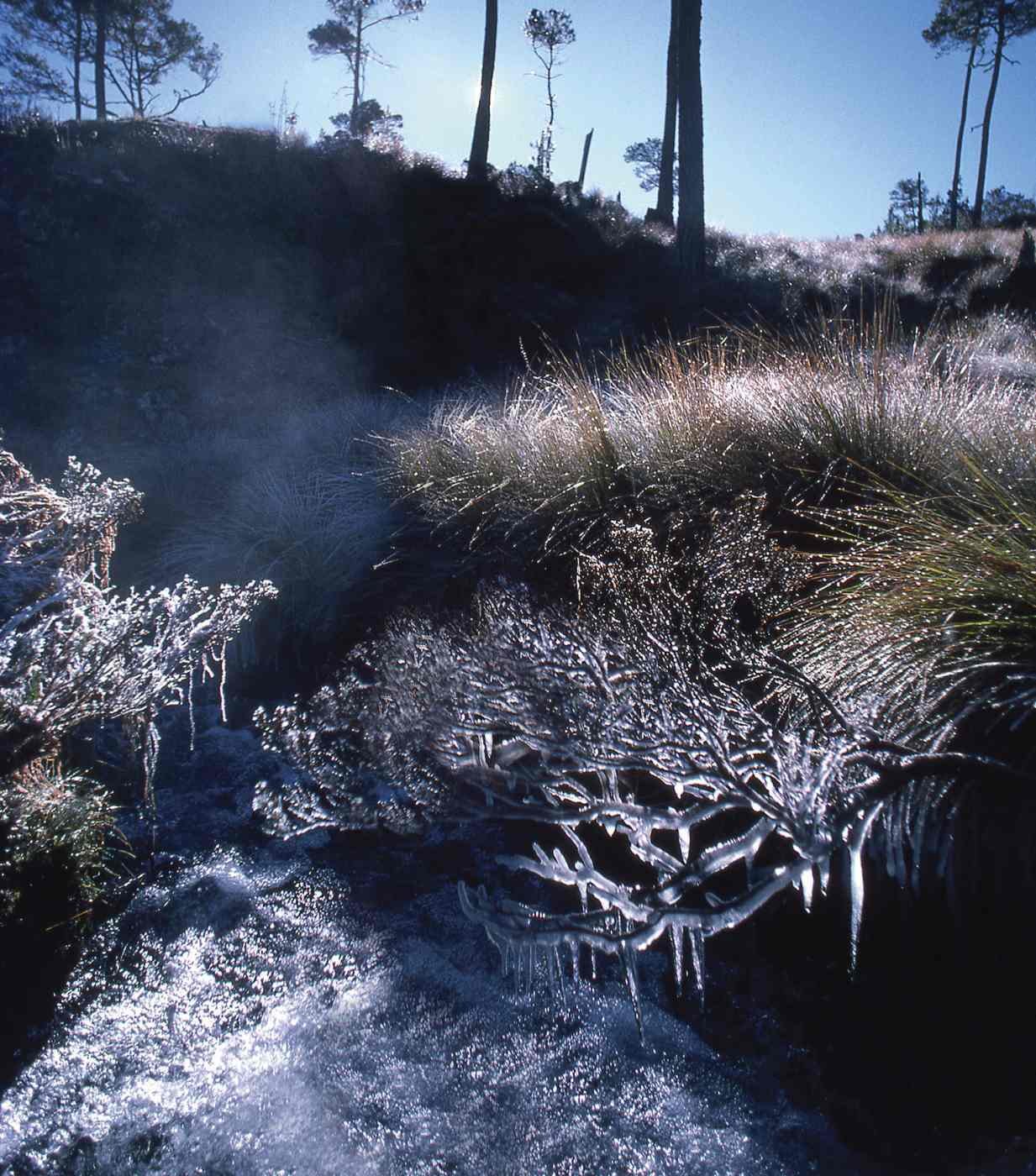 Amancer Invernal en Valle Nuevo. 1979