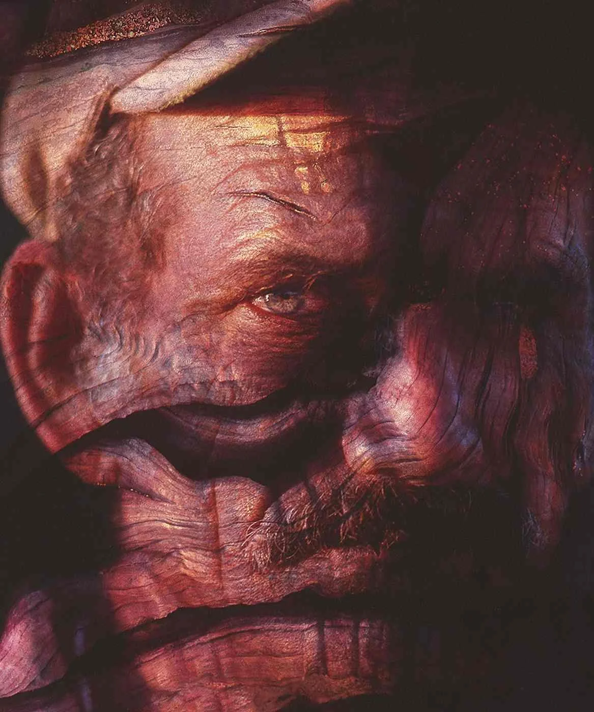 Acerca del Hombre y los Árboles. 2005