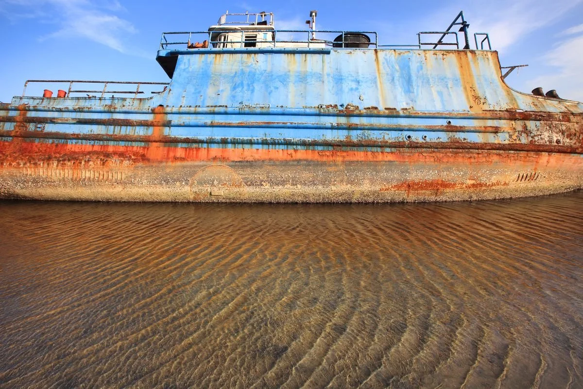 Despedida en Manzanillo. 2019