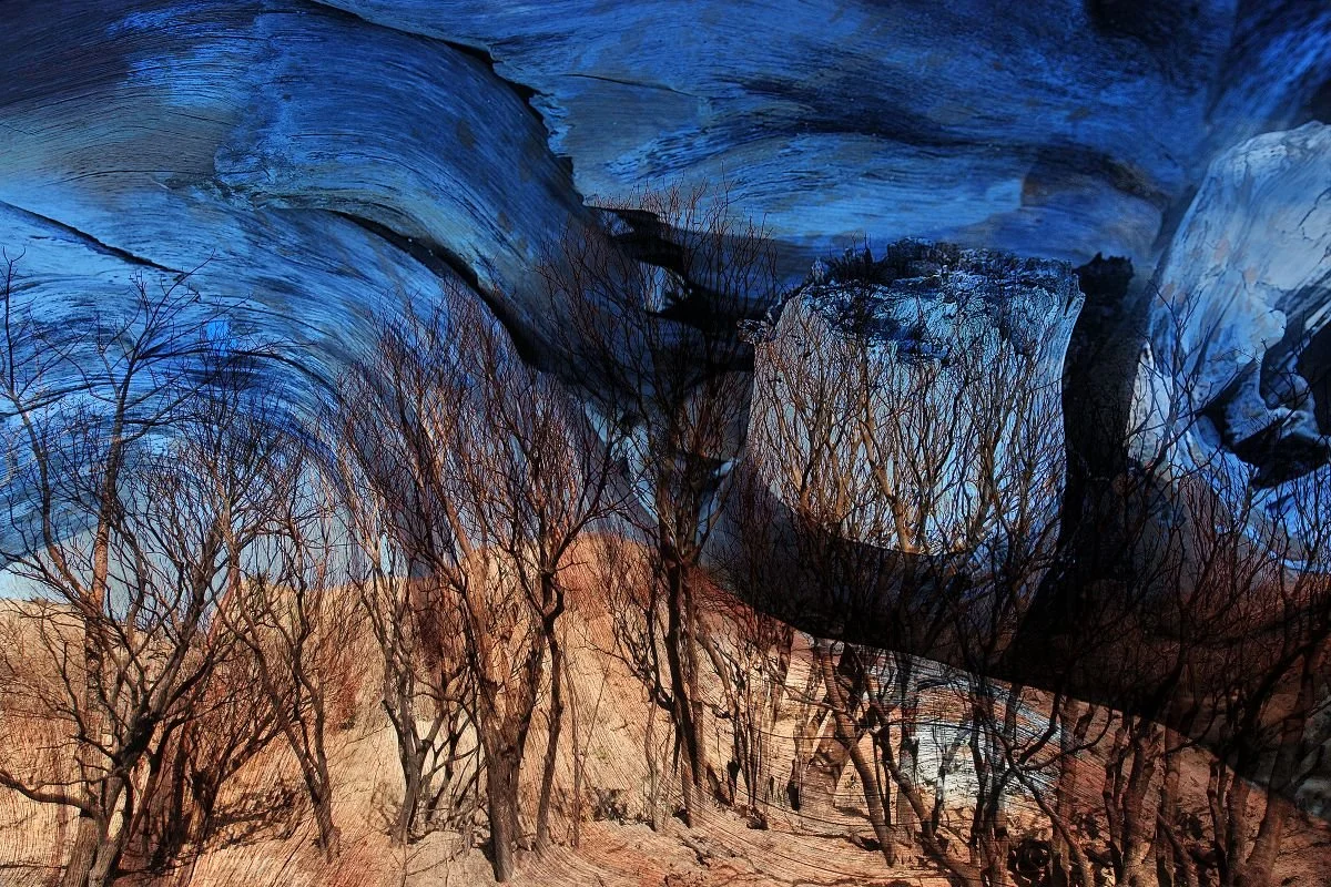 Del Incendio del Morro. 2019