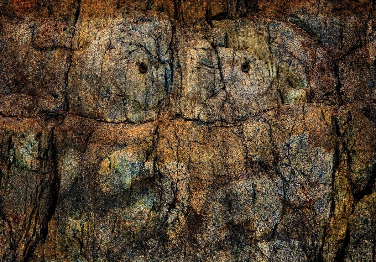 Acerca del Buho. 2009