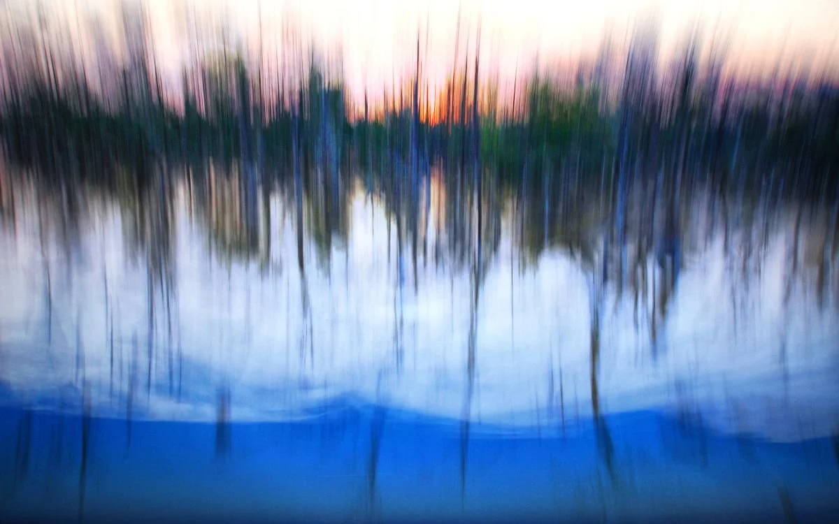 Al Pasar por el Manglar. 2013