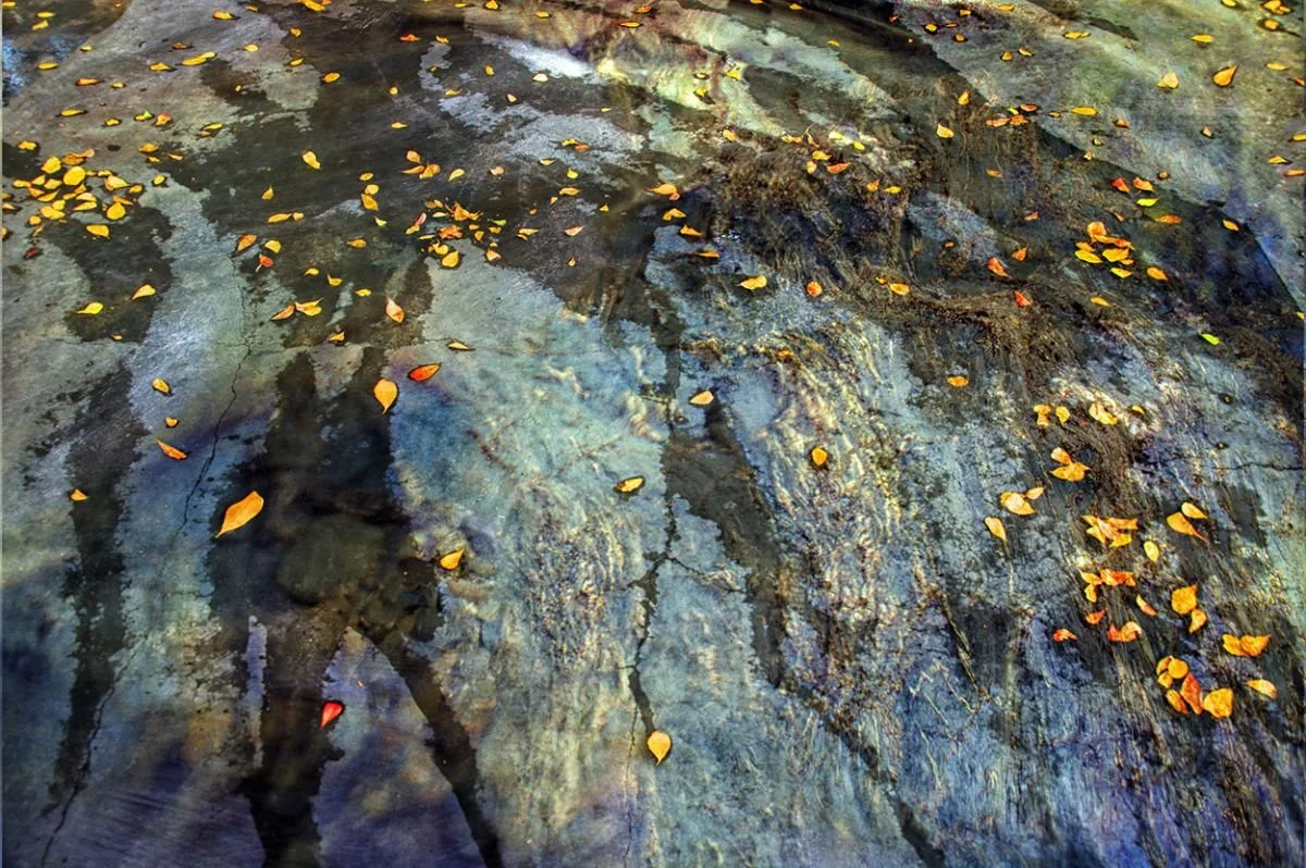 Después de la Lluvia. 2023