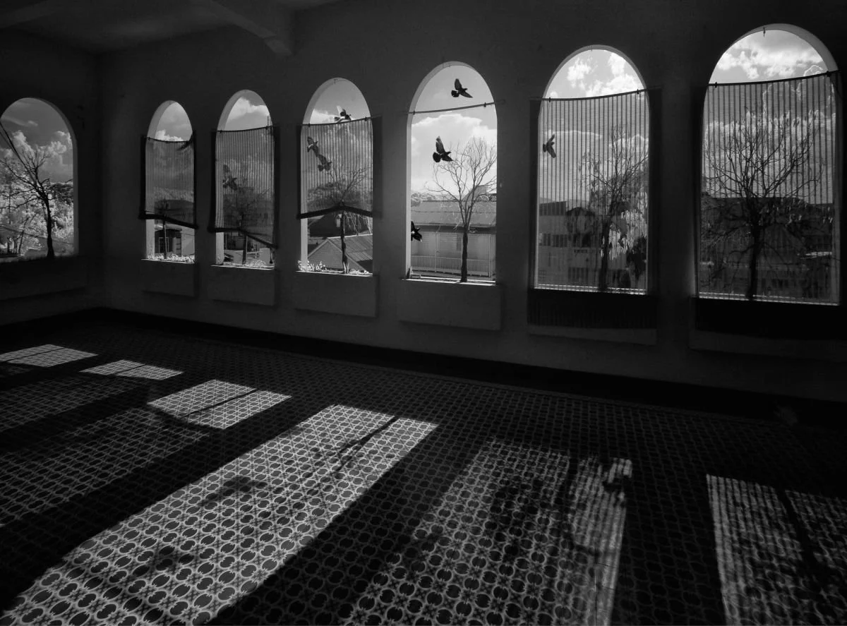 Contraluz en Santiago. 2009