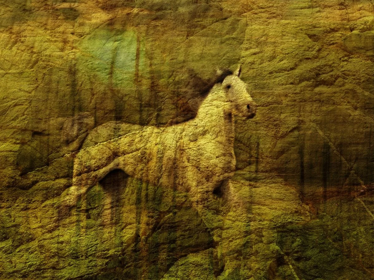 Caballo de Guazumal. 2000