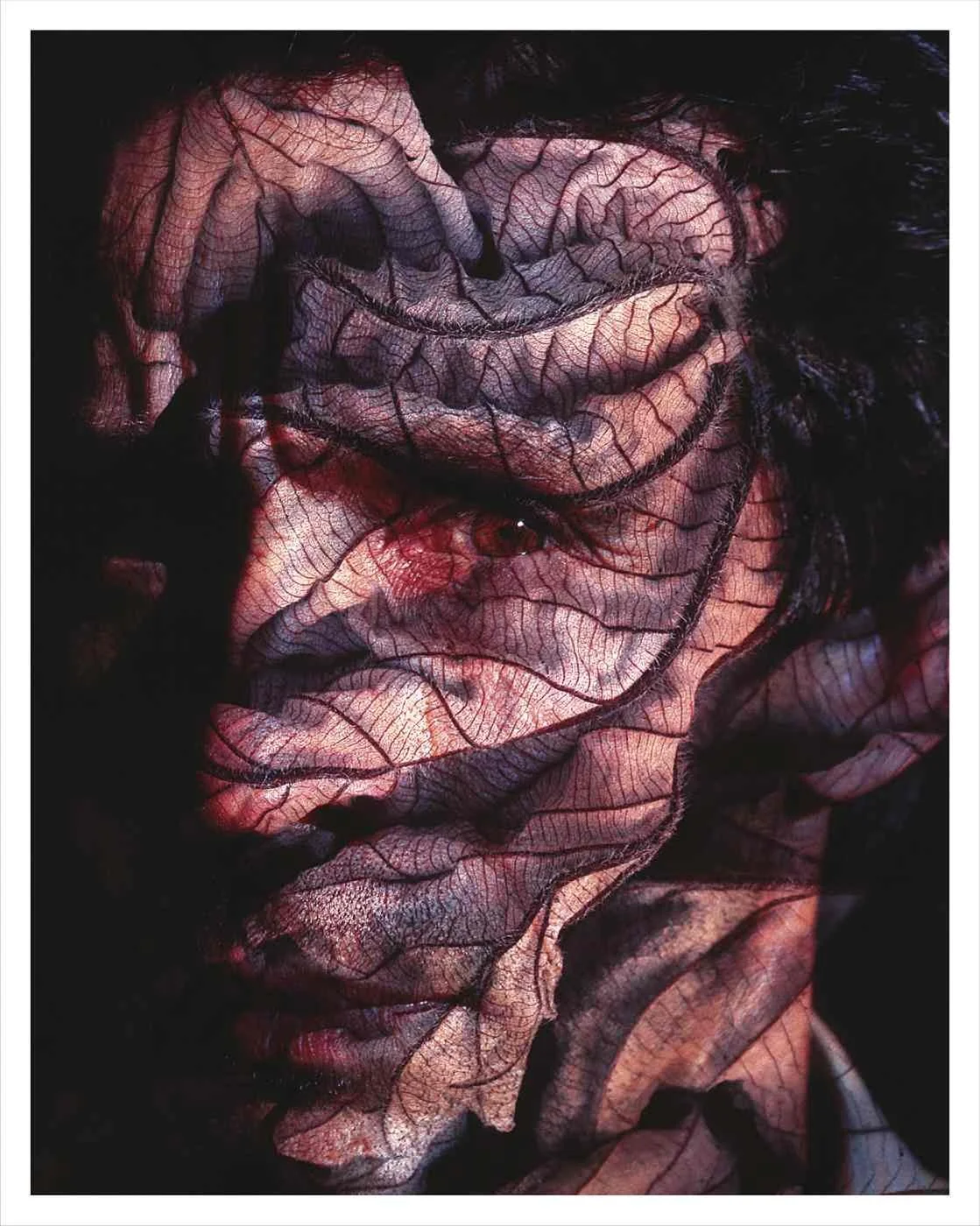 Acerca del Hombre y la Tierra. 2005