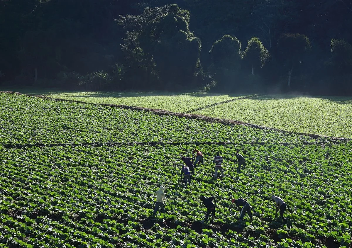 Campesinos en el Valle de Constanza. 2019