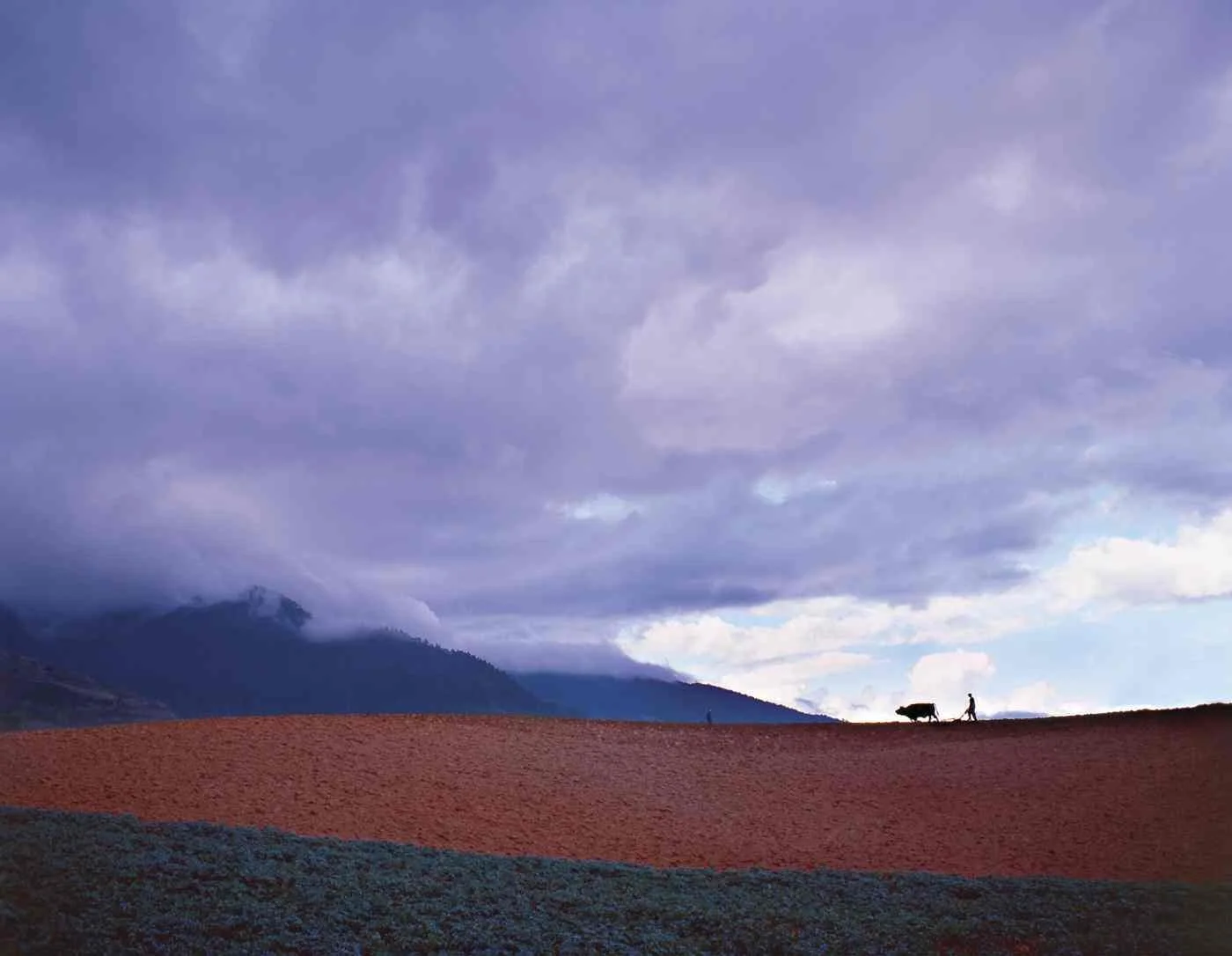 Arando en La Horma. 2003