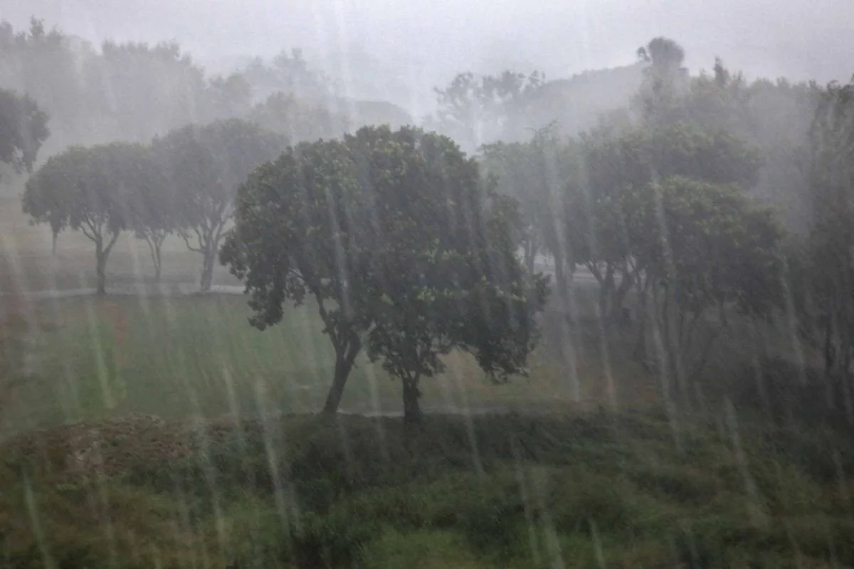 Tormenta de Mayo. 2009