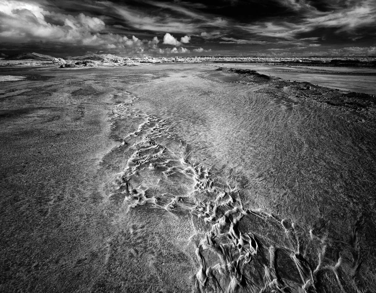 Salina Chica, Montecristi. 2009