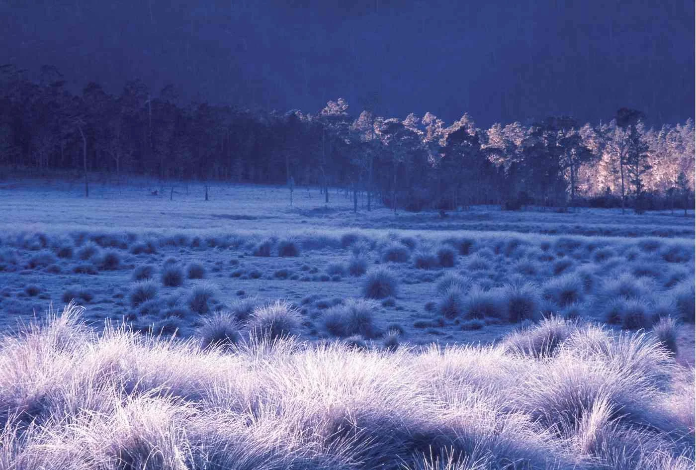 Valle del Bao Escarchado. 1997