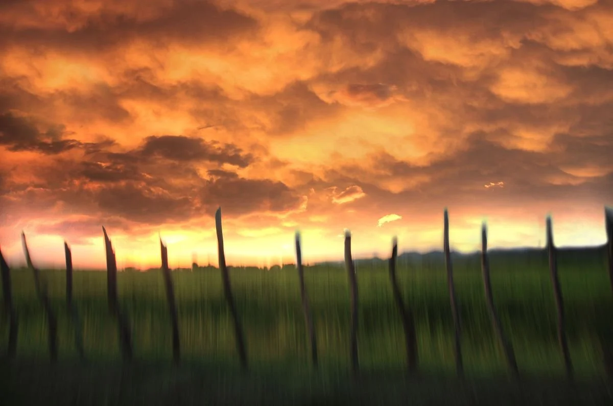 Homenaje a la Luz de Jicomé 1. 2012