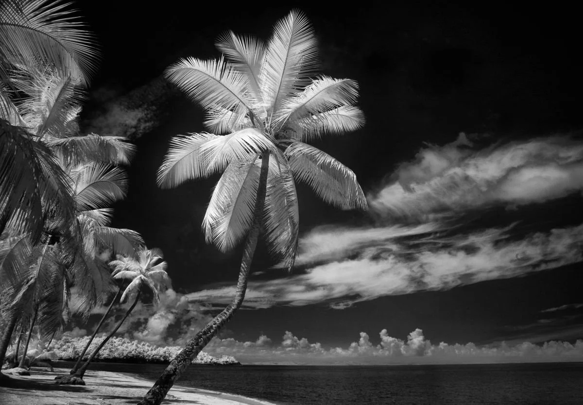 Playa Las Terrenas, Samaná. 2009