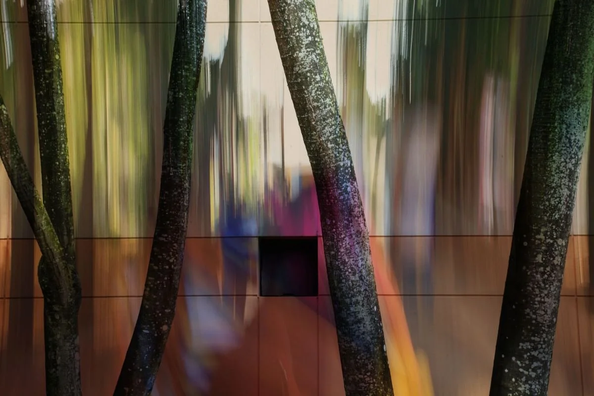 Del Centro León. 2012