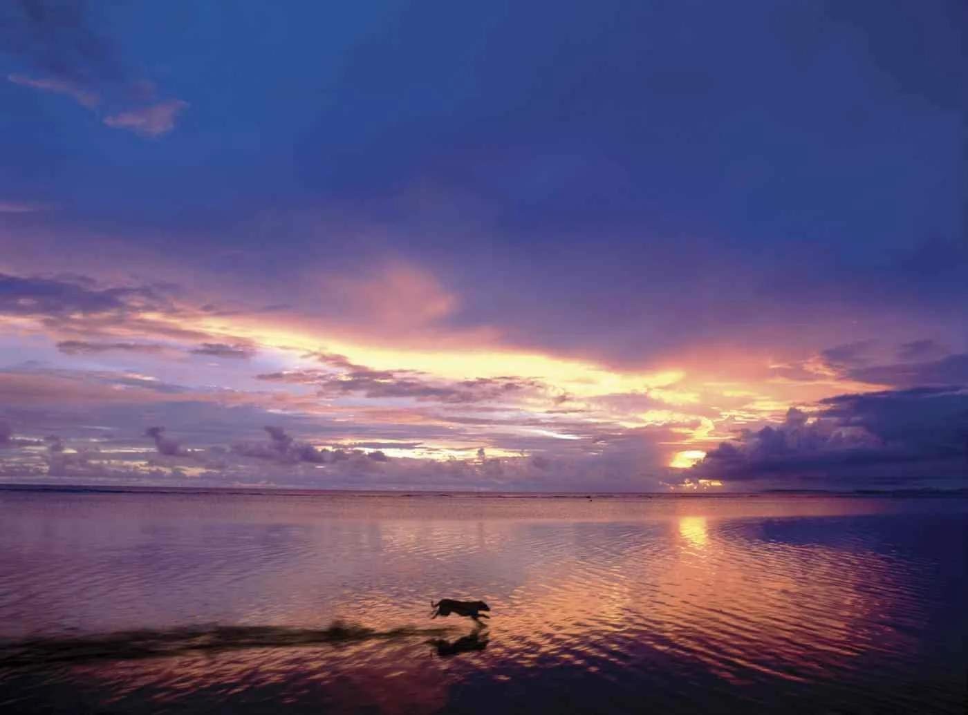 Del Atardecer en La Isabela. 2000